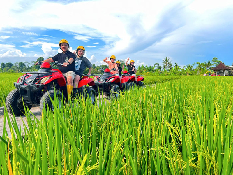 ATV Riding in Ubuds Route of Rice Fields